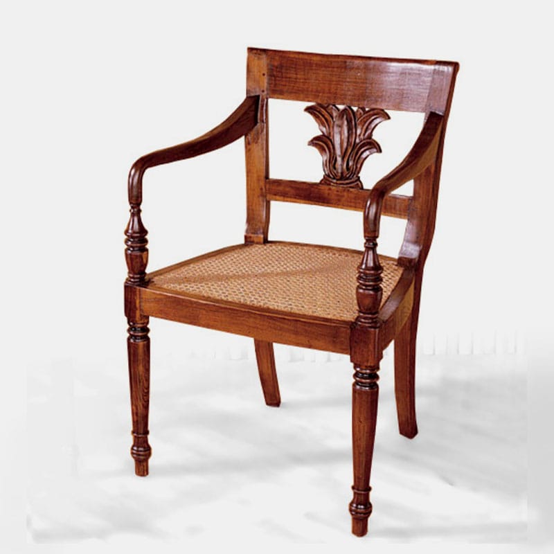 Palm arm chair